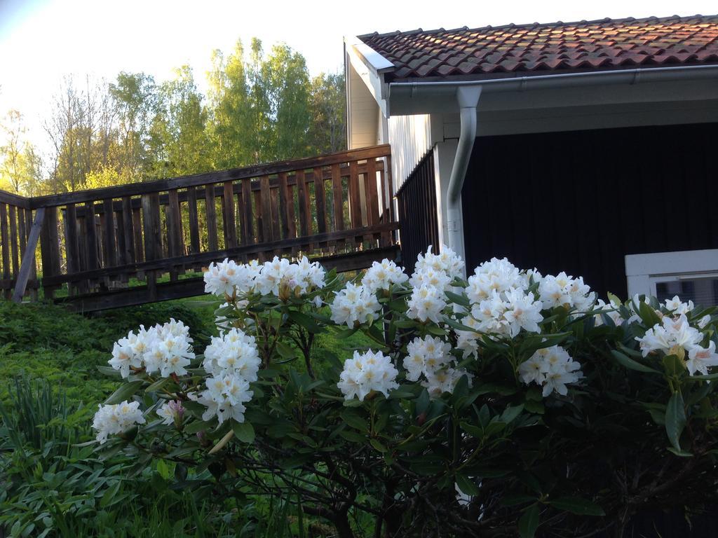 Motel E4 Kolmarden Apartments And Cottages 外观 照片